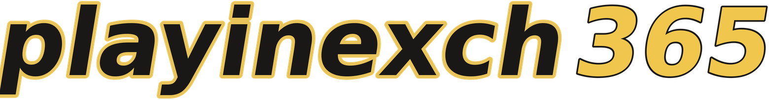 playinexch365 logo